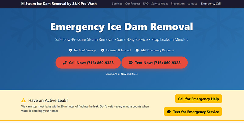 Buffalo Ice Dam Steaming Case Study